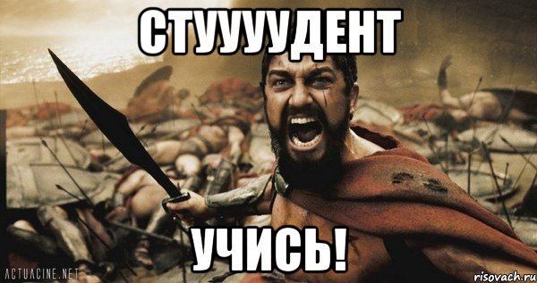 стуууудент учись!, Мем Это Спарта