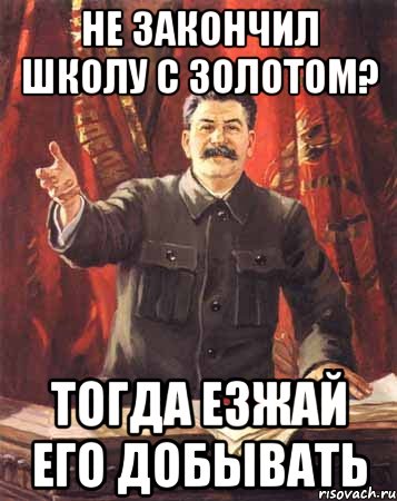 не закончил школу с золотом? тогда езжай его добывать, Мем  сталин цветной