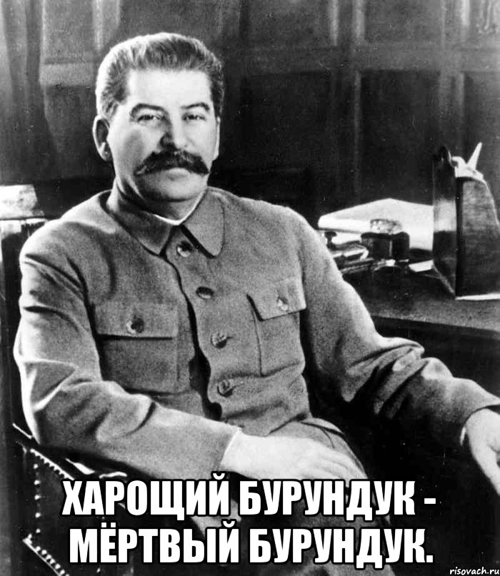  харощий бурундук - мёртвый бурундук., Мем  иосиф сталин