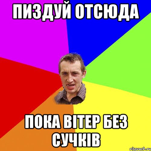 пиздуй отсюда пока вітер без сучків, Мем Чоткий паца