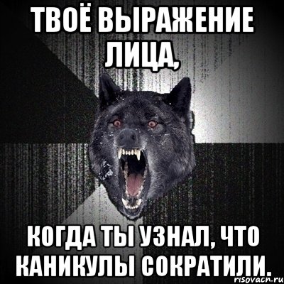 твоё выражение лица, когда ты узнал, что каникулы сократили., Мем Сумасшедший волк