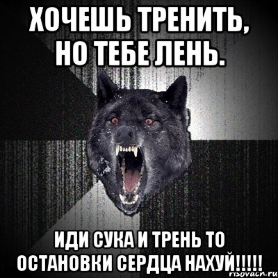 хочешь тренить, но тебе лень. иди сука и трень то остановки сердца нахуй!!!, Мем Сумасшедший волк