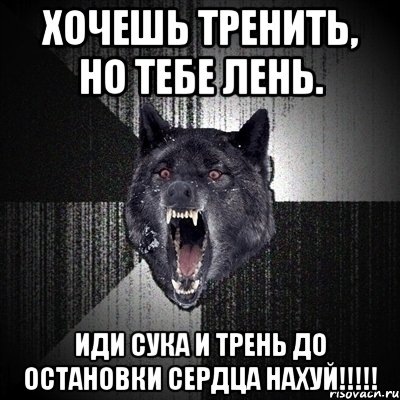 хочешь тренить, но тебе лень. иди сука и трень до остановки сердца нахуй!!!, Мем Сумасшедший волк