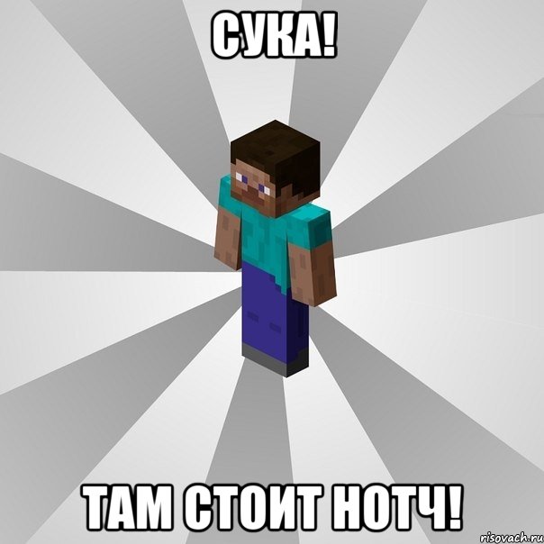 сука! там стоит нотч!, Мем Типичный игрок Minecraft