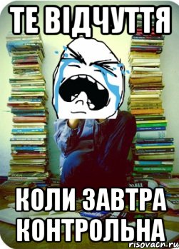 те відчуття коли завтра контрольна, Мем Типовий десятикласник