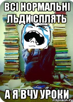 всі нормальні льди сплять а я вчу уроки, Мем Типовий десятикласник