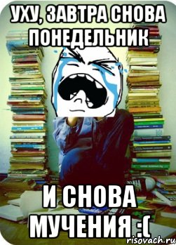 уху, завтра снова понедельник и снова мучения :(, Мем Типовий десятикласник