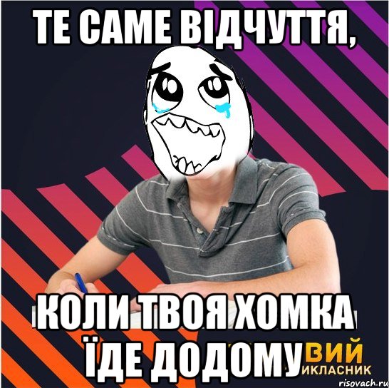 те саме відчуття, коли твоя хомка їде додому, Мем Типовий одинадцятикласник