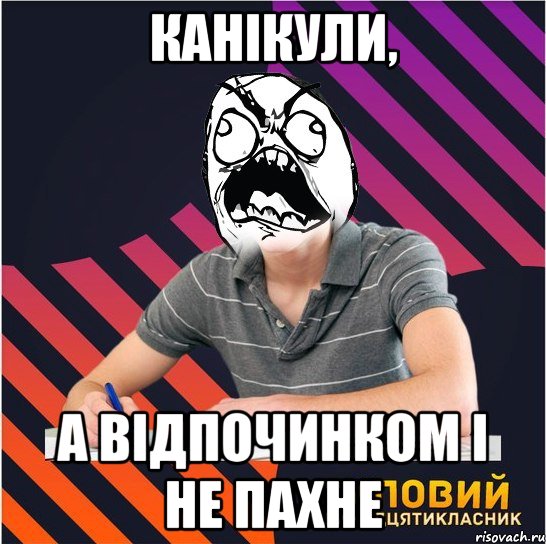 канікули, а відпочинком і не пахне, Мем Типовий одинадцятикласник