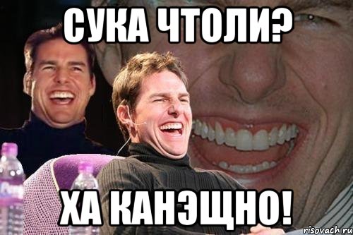 сука чтоли? ха канэщно!, Мем том круз