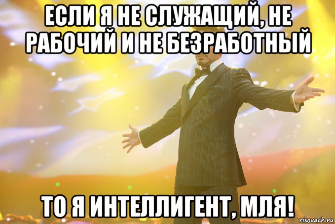 если я не служащий, не рабочий и не безработный то я интеллигент, мля!, Мем Тони Старк (Роберт Дауни младший)