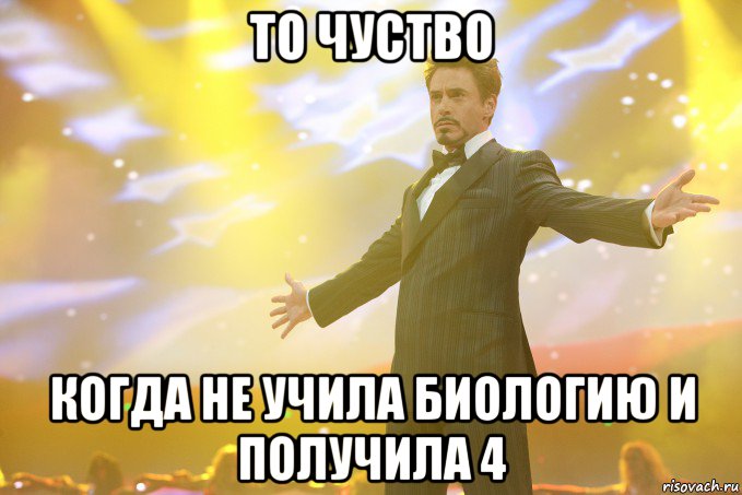 то чуство когда не учила биологию и получила 4, Мем Тони Старк (Роберт Дауни младший)