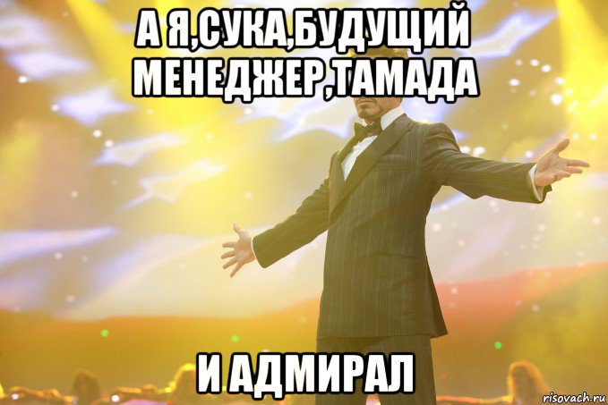 а я,сука,будущий менеджер,тамада и адмирал, Мем Тони Старк (Роберт Дауни младший)