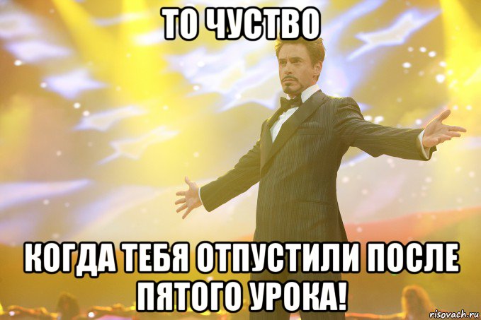 то чуство когда тебя отпустили после пятого урока!, Мем Тони Старк (Роберт Дауни младший)