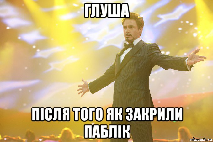 глуша після того як закрили паблік, Мем Тони Старк (Роберт Дауни младший)