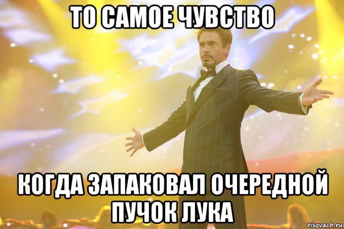 то самое чувство когда запаковал очередной пучок лука, Мем Тони Старк (Роберт Дауни младший)