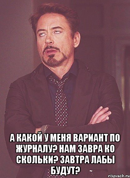  а какой у меня вариант по журналу? нам завра ко скольки? завтра лабы будут?, Мем твое выражение лица