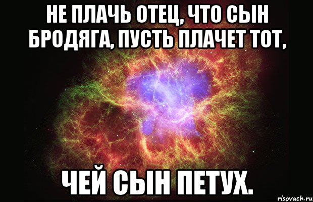 не плачь отец, что сын бродяга, пусть плачет тот, чей сын петух., Мем Туманность