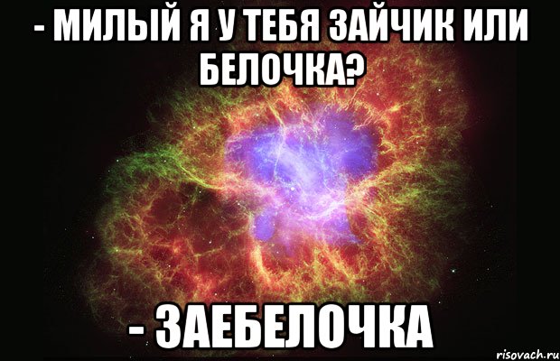 - милый я у тебя зайчик или белочка? - заебелочка, Мем Туманность