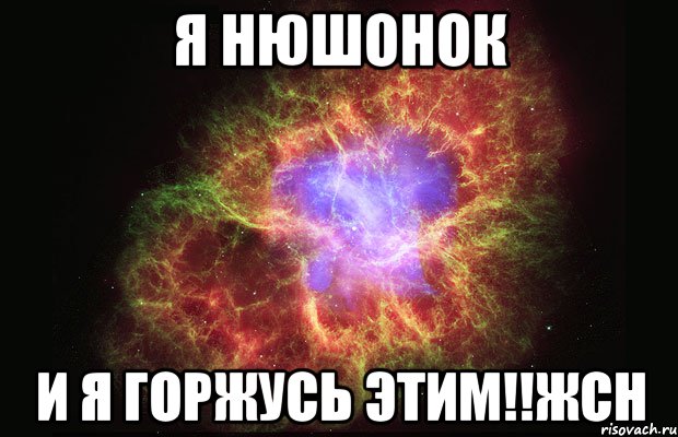 я нюшонок и я горжусь этим!!жсн, Мем Туманность