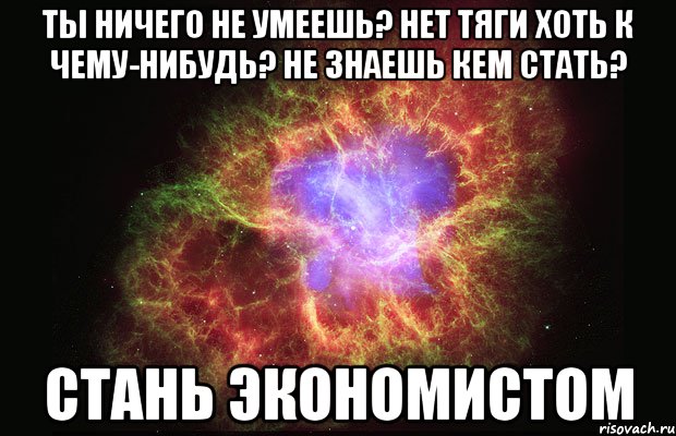 ты ничего не умеешь? нет тяги хоть к чему-нибудь? не знаешь кем стать? стань экономистом, Мем Туманность