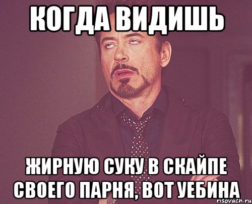 когда видишь жирную суку в скайпе своего парня, вот уебина, Мем твое выражение лица