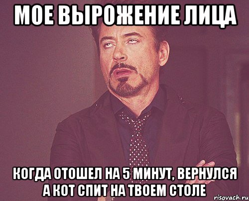 мое вырожение лица когда отошел на 5 минут, вернулся а кот спит на твоем столе, Мем твое выражение лица