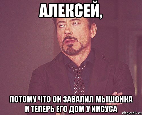 алексей, потому что он завалил мышонка и теперь его дом у иисуса, Мем твое выражение лица