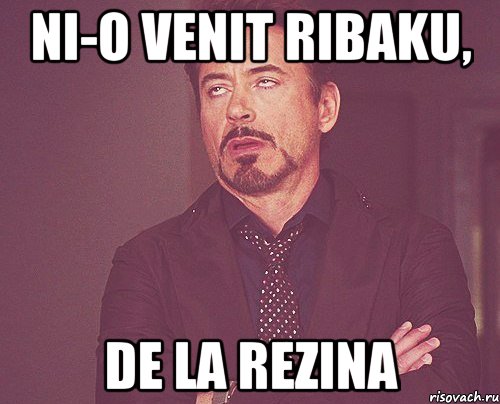 ni-o venit ribaku, de la rezina, Мем твое выражение лица