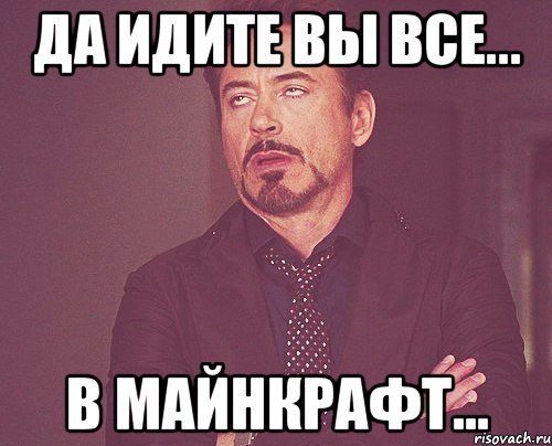 да идите вы все... в майнкрафт..., Мем твое выражение лица