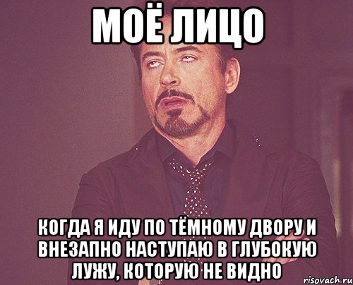 моё лицо когда я иду по тёмному двору и внезапно наступаю в глубокую лужу, которую не видно, Мем твое выражение лица