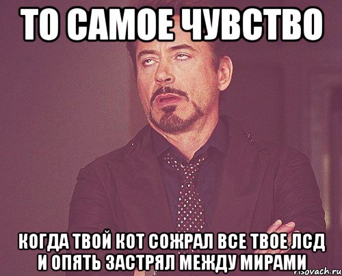 то самое чувство когда твой кот сожрал все твое лсд и опять застрял между мирами, Мем твое выражение лица