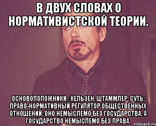 в двух словах о нормативистской теории. основоположники : кельзен, штаммлер. суть: право-нормативный регулятор общественных отношений; оно немыслемо без государства, а государство немыслемо без права., Мем твое выражение лица