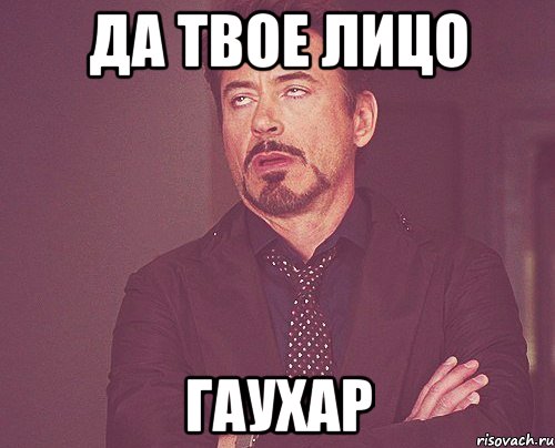 да твое лицо гаухар, Мем твое выражение лица