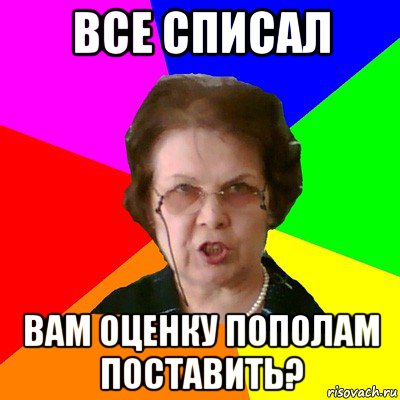 все списал вам оценку пополам поставить?, Мем Типичная училка