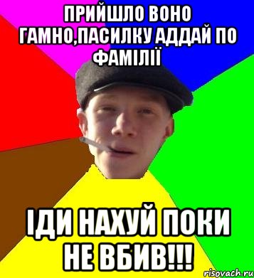 прийшло воно гамно,пасилку аддай по фамілії іди нахуй поки не вбив!!!, Мем умный гопник