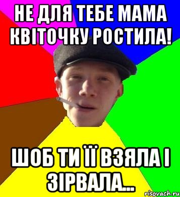 не для тебе мама квіточку ростила! шоб ти її взяла і зірвала..., Мем умный гопник