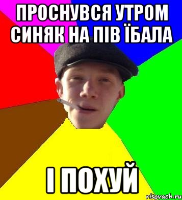 проснувся утром синяк на пів їбала і похуй, Мем умный гопник