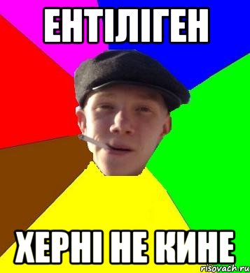 ентіліген херні не кине, Мем умный гопник