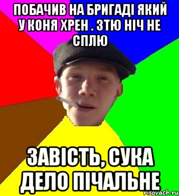 побачив на бригаді який у коня хрен . 3тю ніч не сплю завість, сука дело пічальне, Мем умный гопник