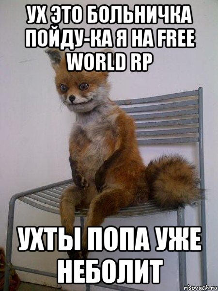 ух это больничка пойду-ка я на free world rp ухты попа уже неболит, Мем Упоротая лиса