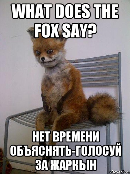 what does the fox say? нет времени объяснять-голосуй за жаркын, Мем Упоротая лиса