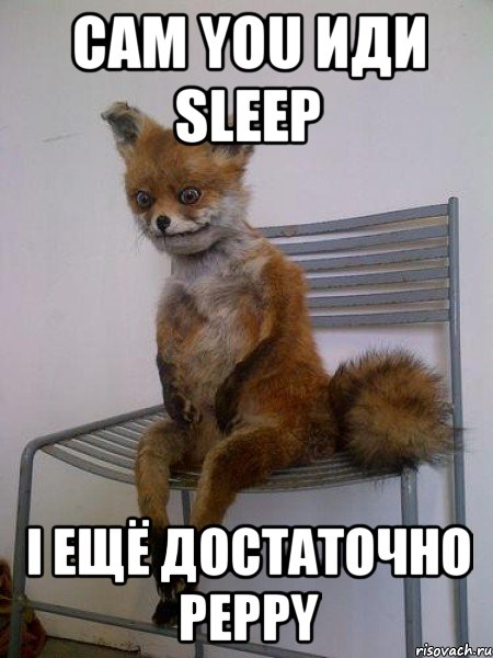 сам you иди sleep i ещё достаточно peppy, Мем Упоротая лиса