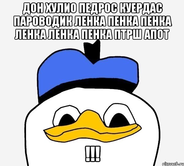 дон хулио педрос куердас пароводик ленка пенка пенка ленка ленка пенка птрш апот !!!, Мем Утка