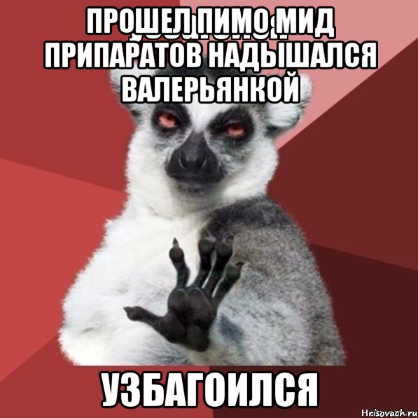 прошел пимо мид припаратов надышался валерьянкой узбагоился, Мем Узбагойзя