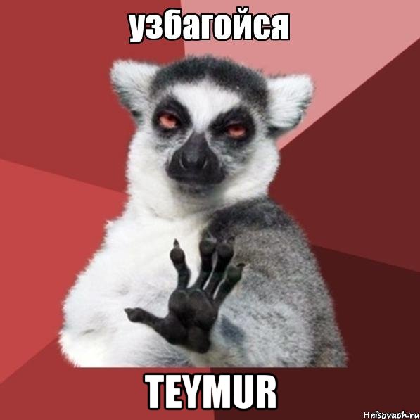  teymur, Мем Узбагойзя