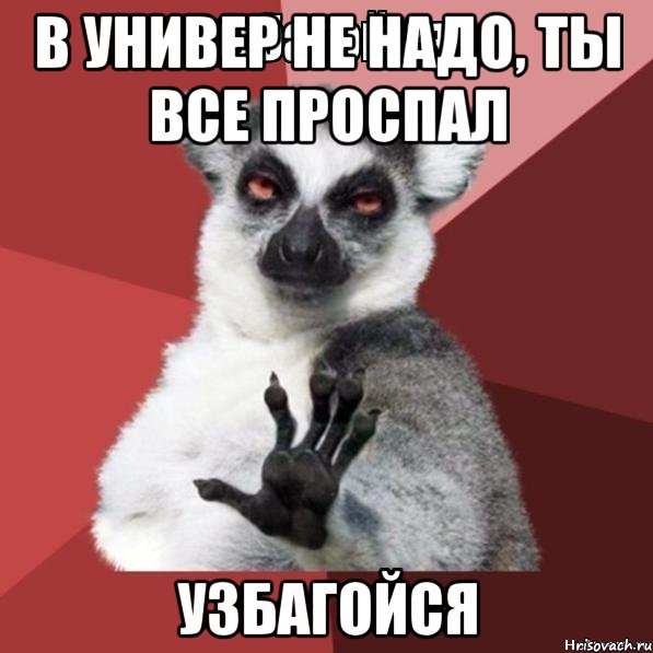 в универ не надо, ты все проспал узбагойся, Мем Узбагойзя