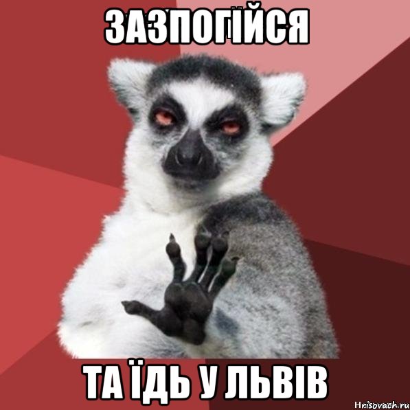 зазпогійся та їдь у львів, Мем Узбагойзя