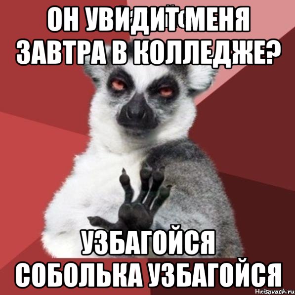 он увидит меня завтра в колледже? узбагойся соболька узбагойся, Мем Узбагойзя