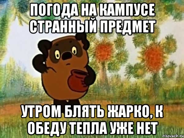 погода на кампусе странный предмет утром блять жарко, к обеду тепла уже нет, Мем Винни пух чешет затылок